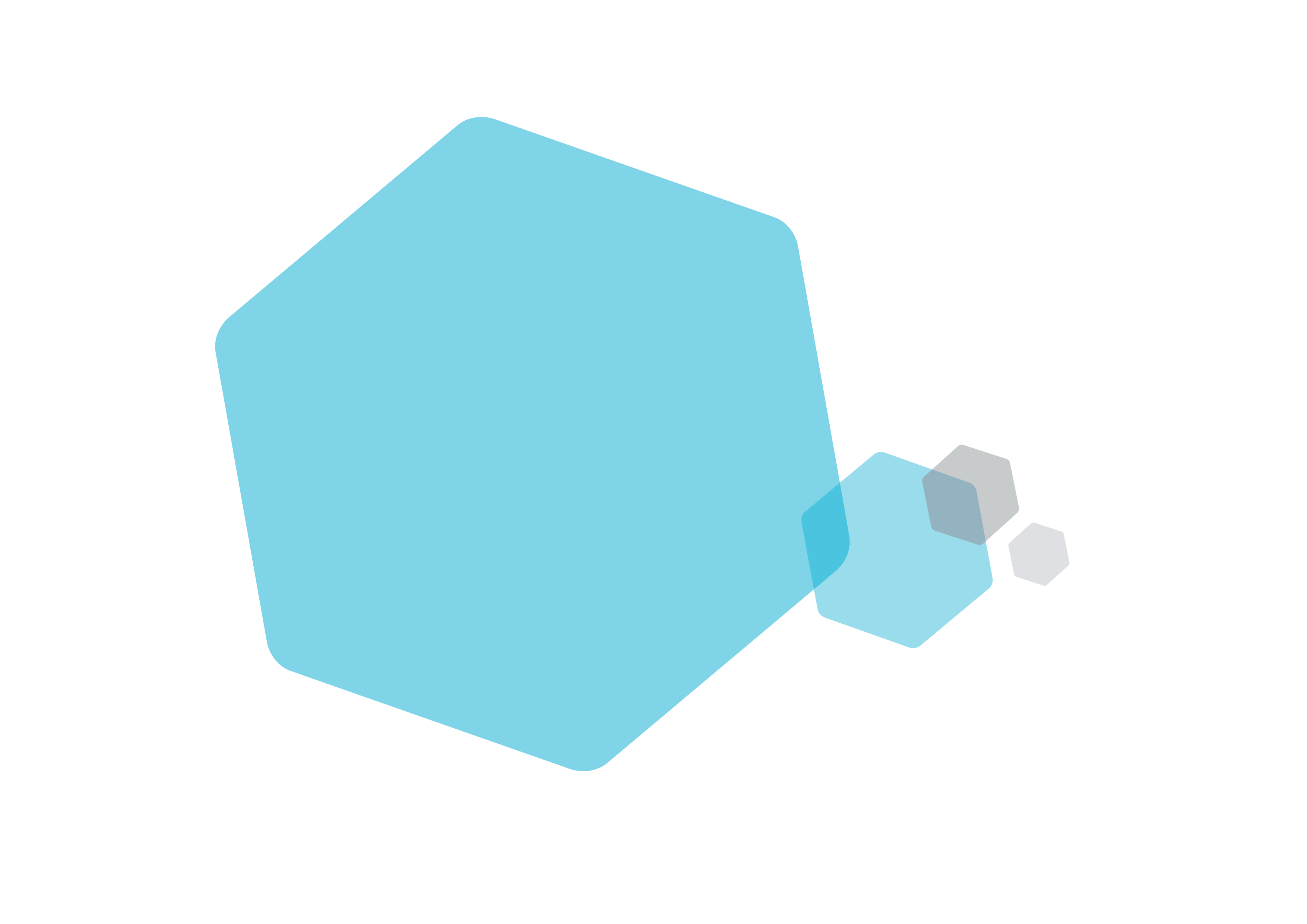 NHSc Hexagon